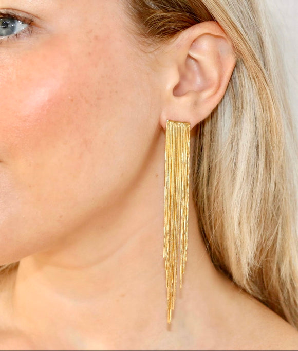 Rachel Gold Fringe Earrings